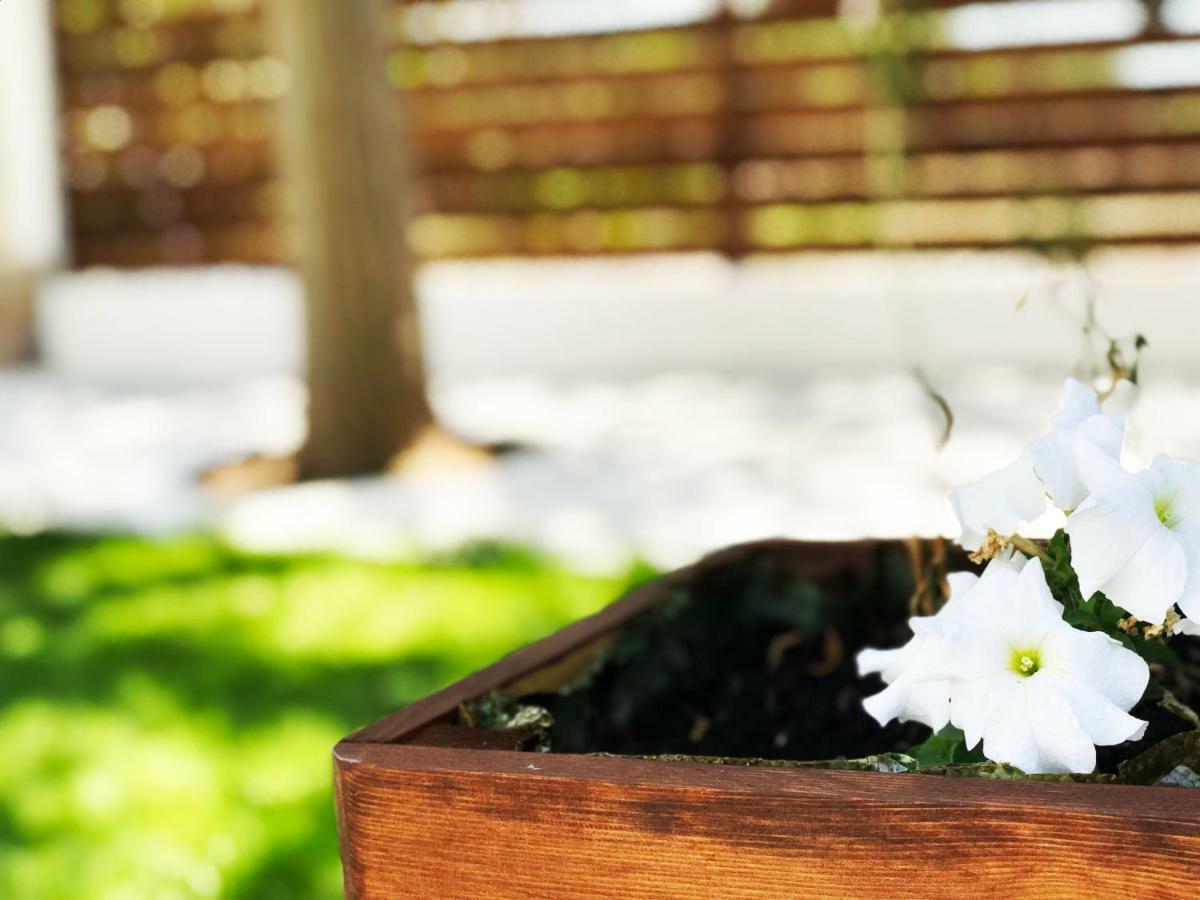 Villa Vave Nea Iraklia Esterno foto